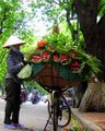 Selling lotus flowers in the street