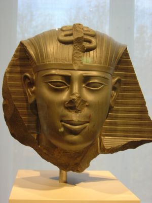 A fragmentary statue head of Amasis II