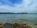 Port Jackson, as seen from Rose Bay.
