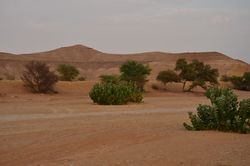 قرية العيينة‎، منطقة الرياض.