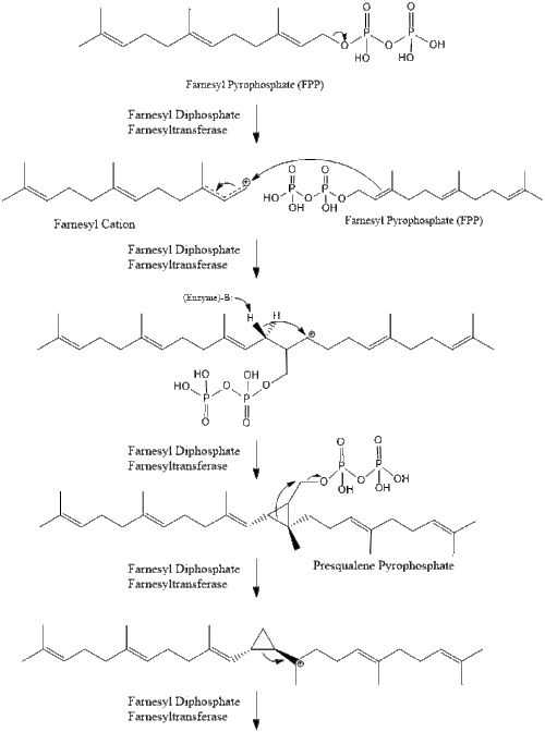 Squalene Synthesis.gif