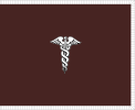 Flag of the Surgeon General of the Army