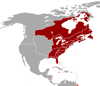 المستعمرات البريطانية في أمريكا الشمالية في 1775، بما فيهم أولئك المأخوذون من فرنسا في الحرب الفرنسية والهندية.