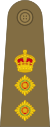 Colonel