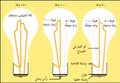 تصغير للنسخة بتاريخ 00:11، 13 مايو 2009