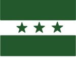 Bandeira da Independência do Sul.jpg