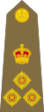 Brigadier