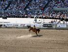 Calgary Stampede Rodeo final day 18 - 2011.jpg