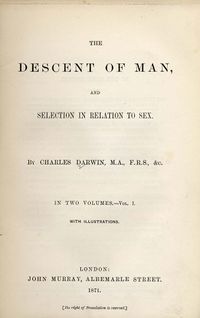 Darwin - Descent of Man (1871).jpg