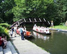 Spree in the Spreewald