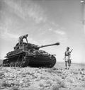 القوات البريطانية في تونس عام 1943.