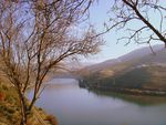 A river with terraced vineyards.