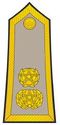 Lieutenant Colonel Armée marocaine.JPG