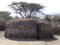 Maasai house in Tanzania