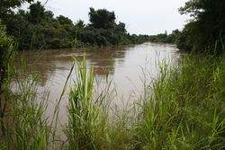 Mekrou river in W-National Park MS 6380.JPG