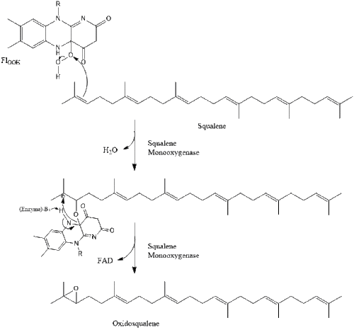 Oxidosqualene.gif