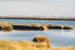 Doñana National Park