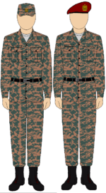 Egyptian Army Thunderbolt camouflage uniform