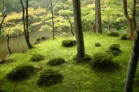 Woodland (Saihō-ji, Japan)