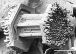 Micrograph of a snowflake