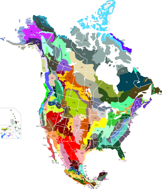 Terrestrial ecoregions USA CAN MEX.svg