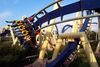 "Montu", a popular inverted roller coaster at Busch Gardens Tampa Bay