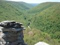 The Blackwater Canyon, a rugged gorge in eastern West Virginia.