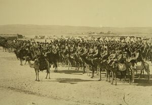 Ottoman cavalry unit mounted on camels during WWI