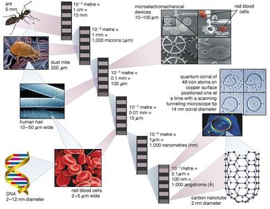 مقياس توضيحى لمقارنة أحجام بعض الأشياء بحجم النانو