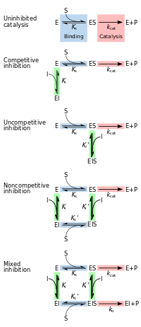 Chemical equilibrium reaction formula for competitive, uncompetitive, non-competitive, and mixed inhibition. .