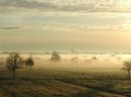 Ground fog in East Frisia (Moordorf)