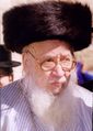 Former Bostoner Rebbe, and the mid-West USA Hornsteipl dynasty are examples of leadership in wider Jewish communities, like in the early Hasidic movement