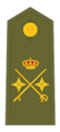 الجيش الملكي الإسباني