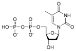 Chemical structure of thymidine diphosphate