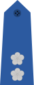 Taiwan-airforce-OF-4.svg