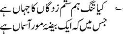 An example of the Nastaliq script used for writing Urdu. Nastaliq: ؎ کیا تنگ ہم ستم زدگان کا جہاں ہے جس میں ایک بیضۂ مور آسماں ہےcode: ur is deprecated Naskh: ؎ کیا تنگ ہم ستم زدگان کا جہاں ہے جس میں ایک بیضۂ مور آسماں ہے‎code: fa is deprecated