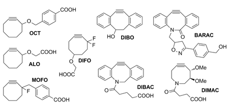 Strained cyclooctynes developed for copper-free click chemistry