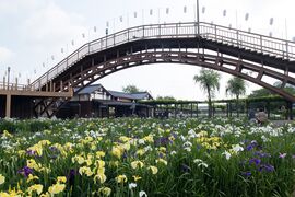 A view of Suigō Itako Iris Garden