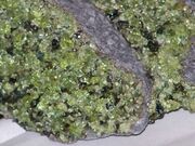 Light green olivine crystals in peridotite xenoliths in basalt from Arizona
