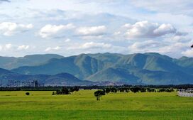 Western Ghats Gobi.jpg