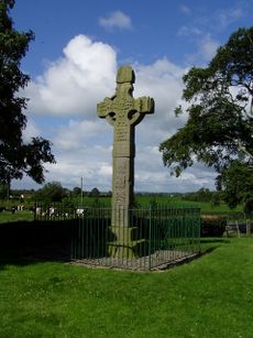 Tall stone cross, with intricate carved patterns, protected by metal railings surrounded by short cut grass. Trees are to either side, cows in open countryside are in the middle distance.
