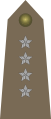 Kapitan Polish Army
