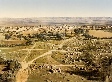 A colorized skyline of a town with low-lying mountains on the horizon, white buildings in the background, and a cemetery, olive trees, and dirt paths in the foreground