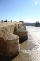 Roman bridge - Córdoba (31).JPG