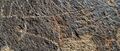 Sky Rock Petroglyphs, Bishop, California.