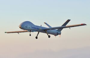 Elbit Systems 900 take off.jpg