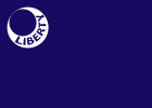 Moultrie Liberty Flag