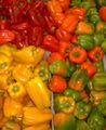 A variety of colored bell peppers