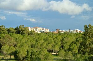 Alsos Akadimias Forest National Park view of Nicosia Pallouriotissa area Republic of Cyprus 2014.jpg