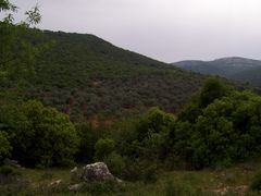 Ajloun mountains